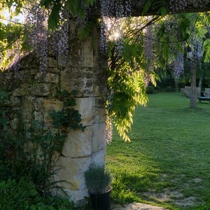 Passage dans un mur de pierre recouvert d'une glycine, jeu d'ombre et de lumière - France  - collection de photos clin d'oeil, catégorie rues